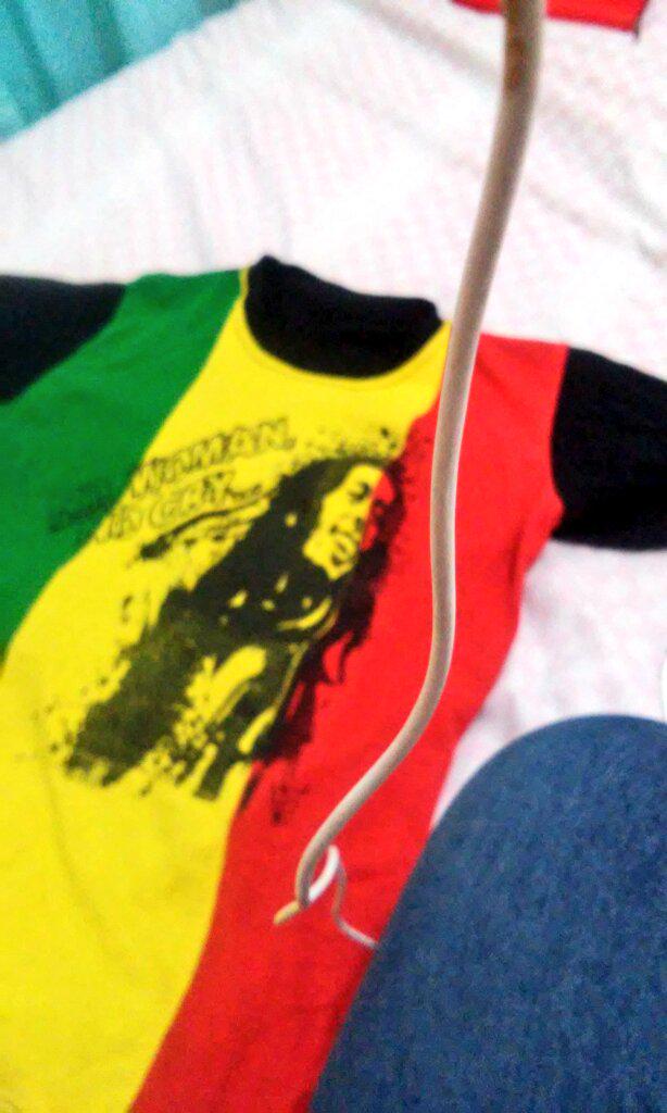 BotelloFher's tweet photo. Reggae mi pasion...amoo esa camisa .Bob marley..! http://t.co/5TZXqFZTFd