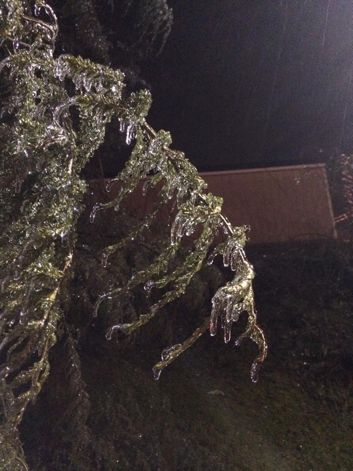 View image on Twitter View image on Twitter