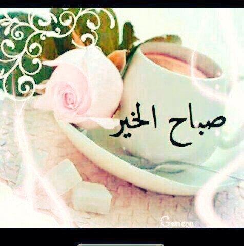 Radagabr1's tweet photo. @saase11 http://t.co/rm0oLPNbTC