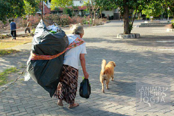 #USDupdate "Pengobatan untuk Molly alias Cebol dari Universitas Sanata Dharma, Gejayan" bit.ly/15Exawy