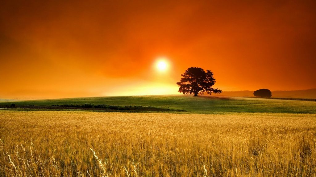 noorparacha4's tweet photo. Good morning 😊 http://t.co/jzgA5bOXog