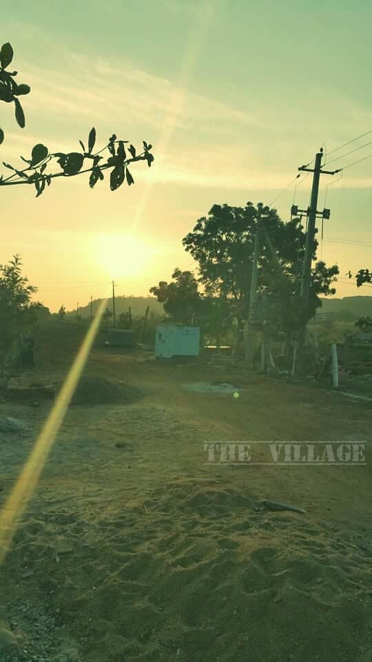 DV_TheVillage's tweet photo. Gazing at the morning glories is such a pleasure.
#simplemornings at #TheVillage
@pnavdeep26 @Venudantuluri http://t.co/8ZM3Y14upB