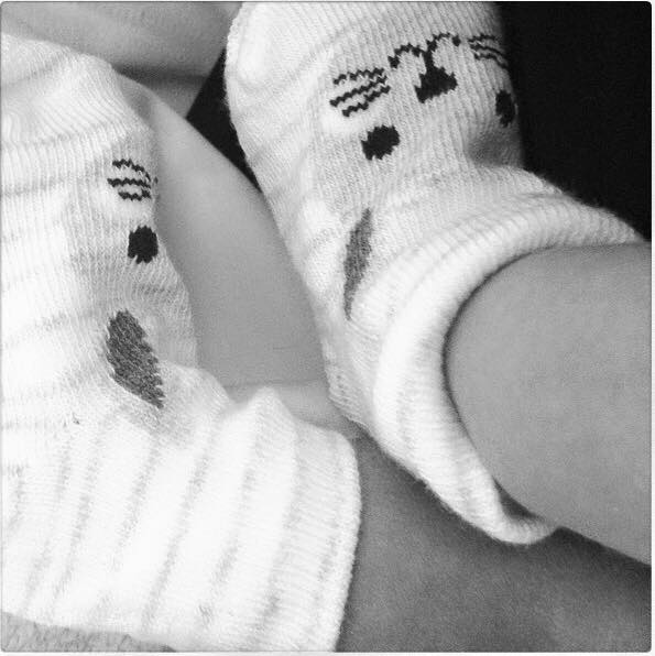 Channel 9 tweet media