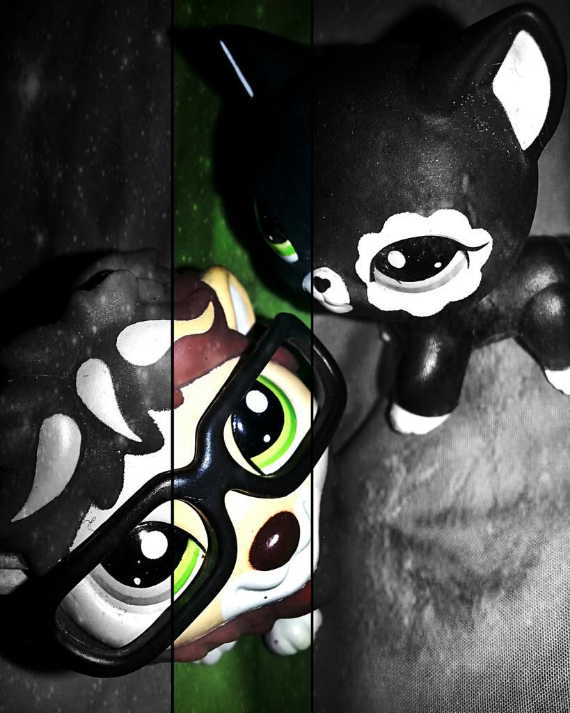 GGG_Lex's tweet image. Atticus &amp;amp; Raven.❤