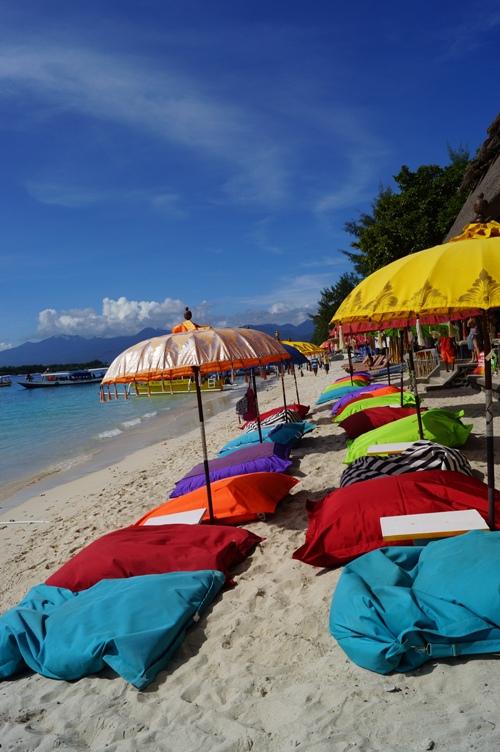 TRIPasik tweet media