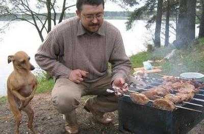 c1ock_coldeithe's tweet image. お行儀が良すぎる件ｗｗｗｗｗこれはあげたくなるわぁ♪