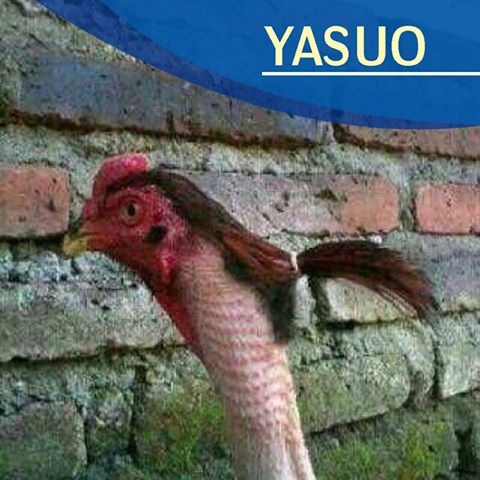 Yasuo <a href="/TriyankaJuniar/">Tanaessha</a>  <a href="/FajrinSC_/">Fajrin Sociality</a>