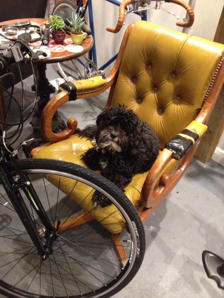 MicycleEast's tweet photo. Pls RT. #Lost neighbour/friend - answers 2 Rocky. Seen at #Hackney Central http://t.co/NKsmhhnlwx http://t.co/ACCX8LcuNT