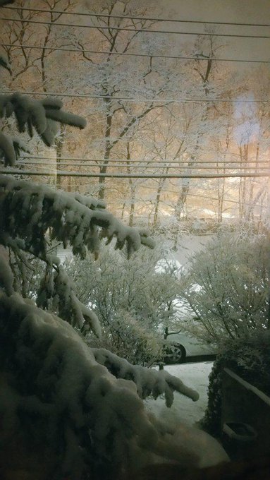 My view of this fucking snow 😨❄⛄ http://t.co/48xMfEwLgK<a href="/tag/teamlesbian"class="tags"><span>#teamlesbian</span></a>
