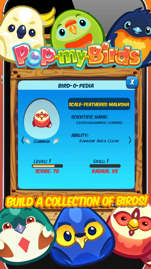 PopMyBirds tweet picture
