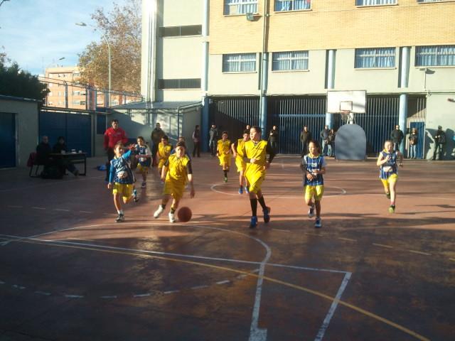 Basquet Comenius tweet media