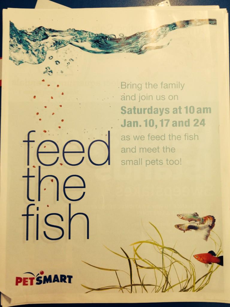 TempleManager's tweet photo. Come #feedthefish this morning at 10am in Temple!! Bring the family!! http://t.co/845xLa9vmY