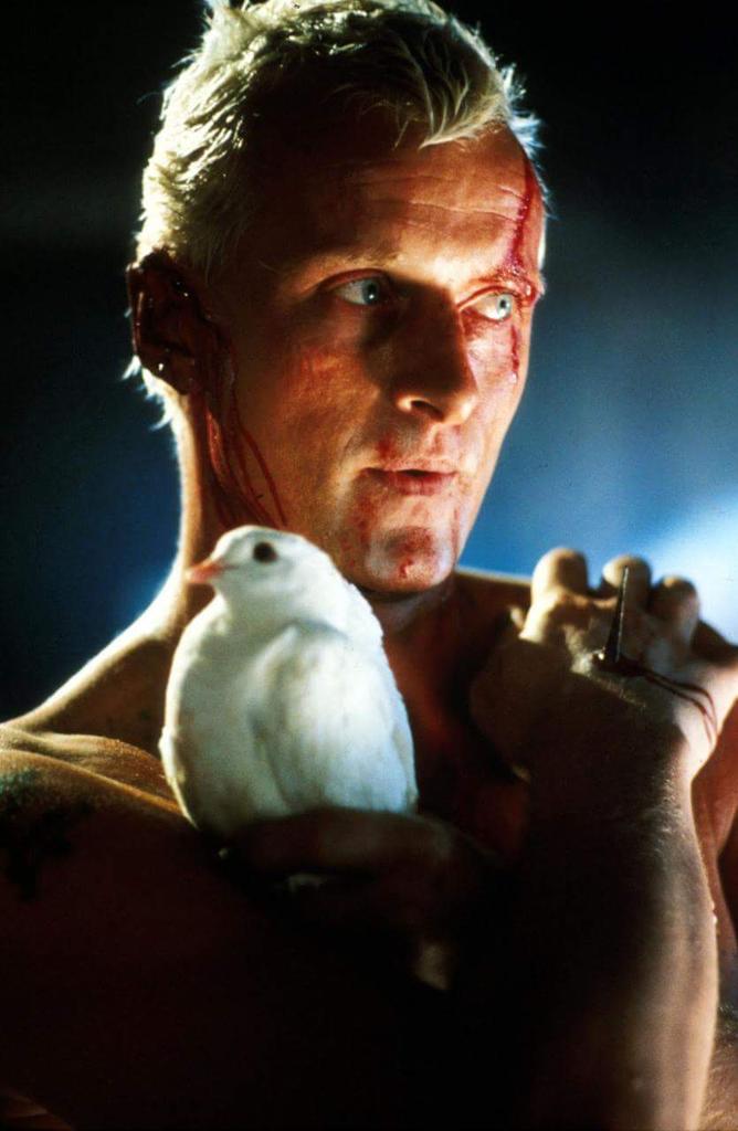 He\s seen things you people wouldn\t believe. Happy 71st birthday Rutger Hauer ! 