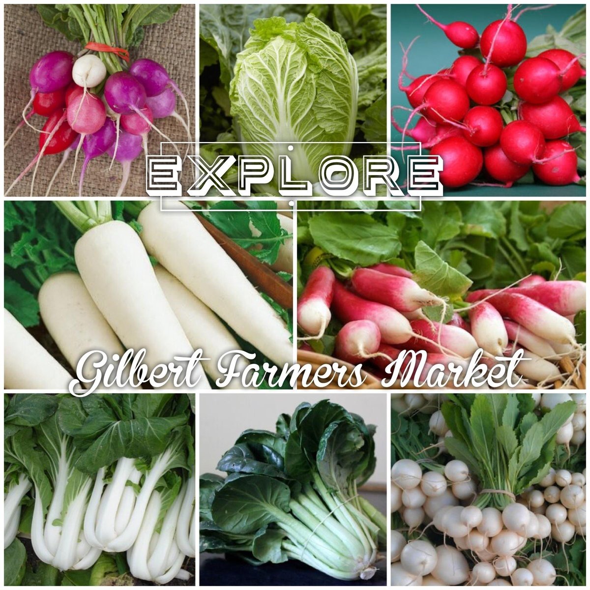 GilbertMarket's tweet image. Is this your favorite season of the year for produce? 
Here is a little teaser for all of you: Beets, Braising Mix, B