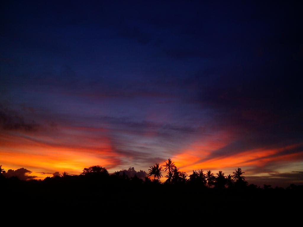 momo_DM's tweet photo. Selamat merayakan senja dari Gegutu Indah, Ommin @infolombok ^^ #sunsetlombok bukan #sunset360 http://t.co/2TN8XoQS98
