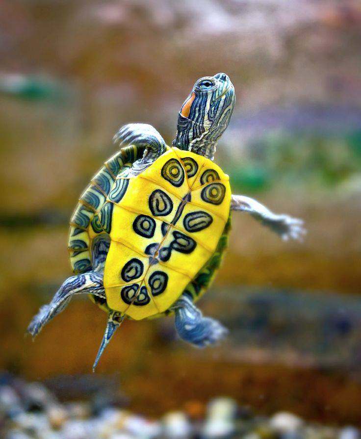 zedanga's tweet photo. Happy Saturday to all you beautiful friends out there. Enjoy and be happy always!! http://t.co/I1YIMLfob3