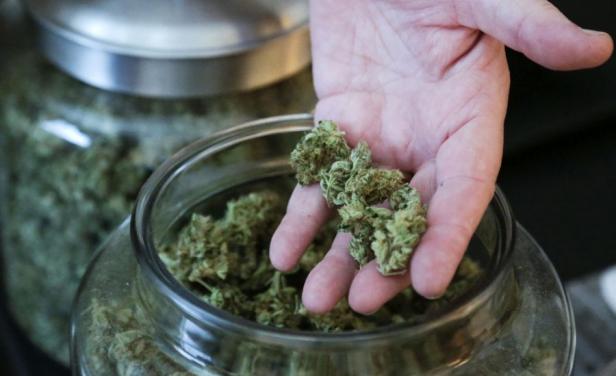 elpaisuy's tweet photo. INFORME DE QUÉ PASA | La marihuana, amiga y enemiga de la salud  http://t.co/79y9gWOuyQ http://t.co/3JYx29KaSj