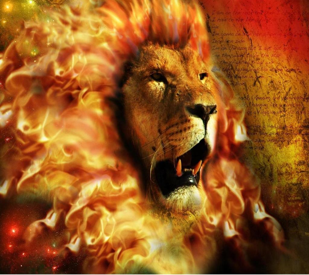 amaran_k's tweet image. Liek you