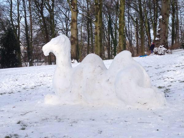 Snow camel in the Netherlands