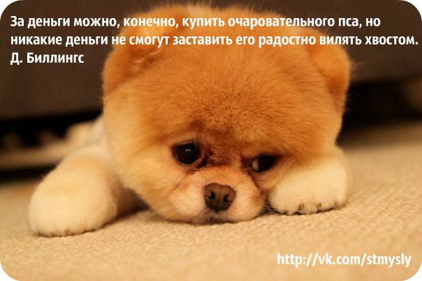 uzbekistannt's tweet photo. http://t.co/O0Aq6L4r59