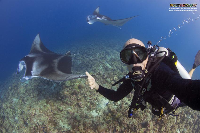 divedownbelow's tweet photo. @PADI I think this one is better ;) #PADICD still loves #diving @divedownbelow we #goneglobal http://t.co/BW66Ca6COB