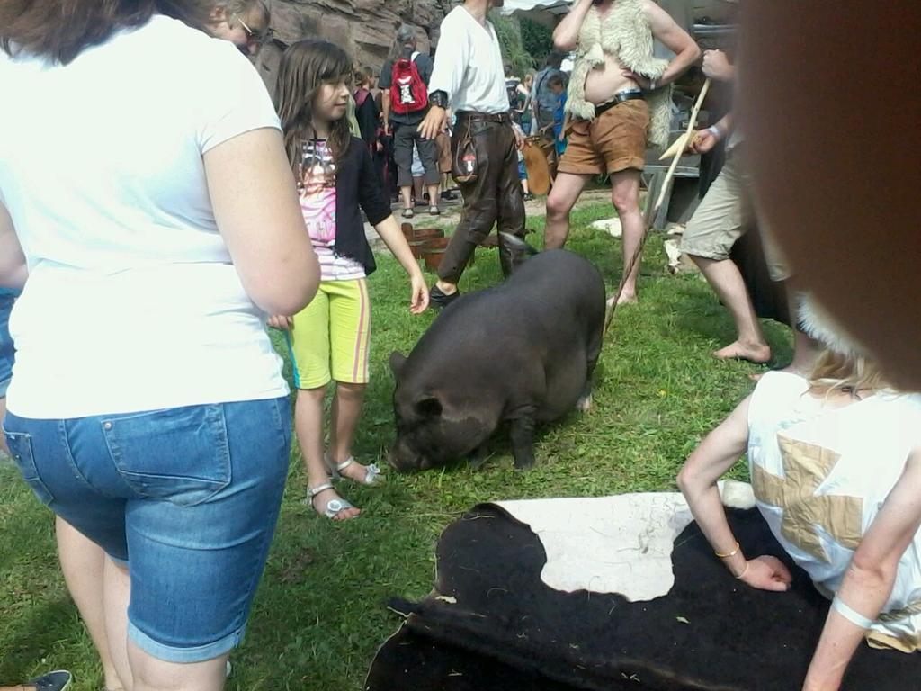 LoosLuzz's tweet image. Geil