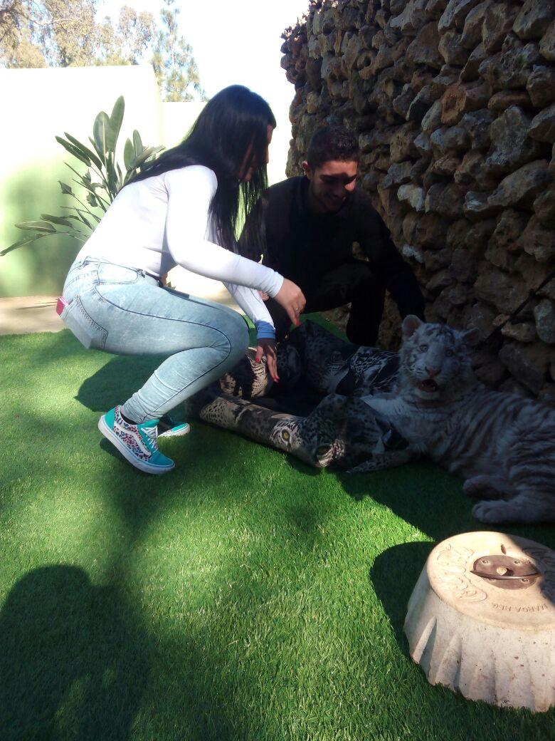 Alexblanco96's tweet photo. Perfecto día en el zoo de Castellar con @josecor19 @Mariachg11 @Sandracorogue @DanielCJ10 #claudia y mis padrees jeje http://t.co/pwwO8F8YjR