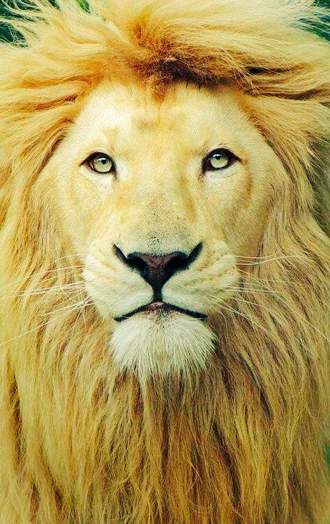 CoreyBeamon's tweet photo. TRIBE 2124
#HIGHERPOWER http://t.co/DDWJRj6XlP