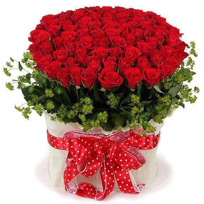 hernan_elder's tweet photo. http://t.co/ozqI85q6nt