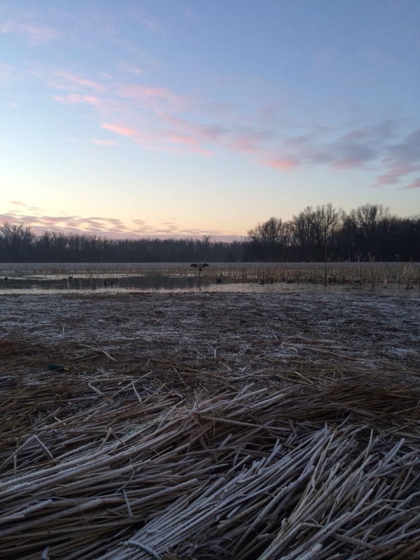 Spbrow's tweet image. Beautiful morning in Ballard County