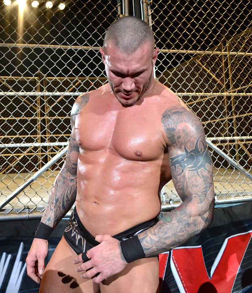 RT if you want Randy Orton to return at #RoyalRumble this sunday!!! 