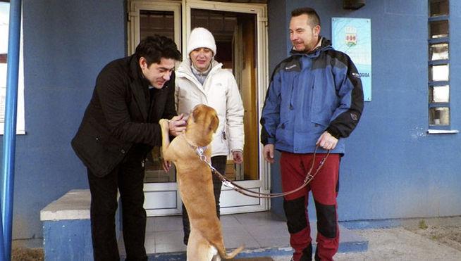 informativost5's tweet photo. Teresa Romero y su pareja adoptan un perro  http://t.co/zMO1YWXeMj http://t.co/UCO1TSbXWj