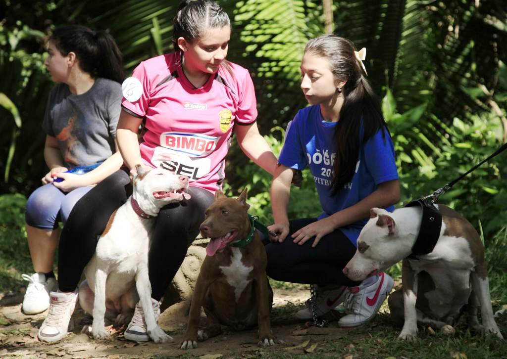DiarioLaPrensa's tweet photo. Hoy marchan en lucha por ley de protección para animales domésticos -> http://t.co/P1V0g8X4Tj http://t.co/SifI41ILZd