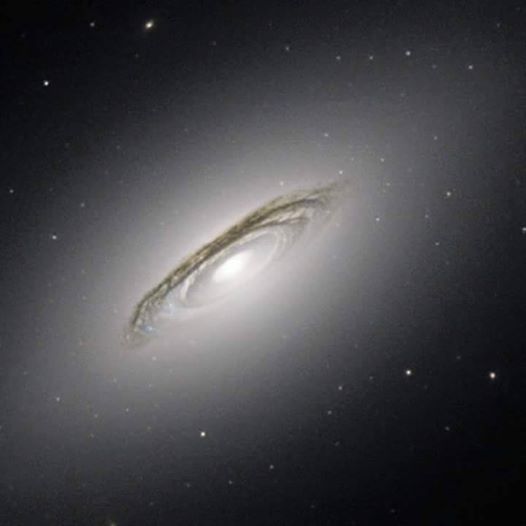 res_syr's tweet photo. #الكون المجرة NGC 686 لها خصائص كل من المجرات الاهليجية و المجرات اللولبية، هي نوع خاص من المجرات. http://t.co/mxzhxmsWub