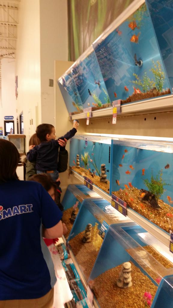 ShepleyTheresa's tweet photo. Another great Feed the Fish event at 923 @PetSmart923 @ThatJenKelly  @robsmithbluejay http://t.co/iqIOCgAUD6