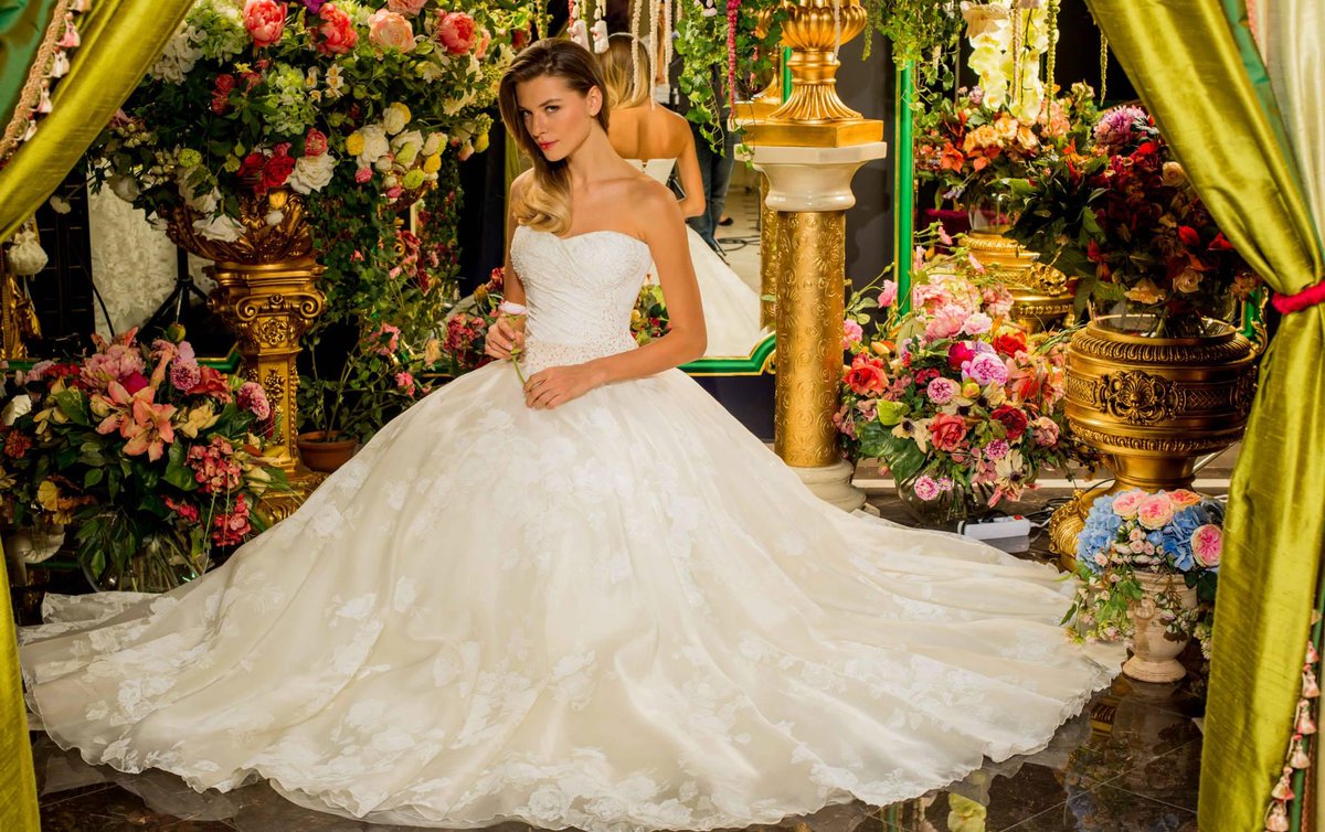 solomia_stella's tweet photo. #stellashakhovskaya #solomia #weddingdress #wedding http://t.co/ZlHdfN7XeV