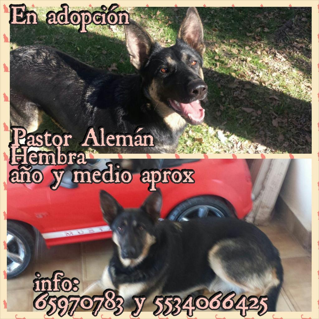 AleLafemme's tweet photo. @CdSatelite @SoyNegocio @SoyNaucalpan @Plusquefoyer @ActivaSatelite @CdSatelite @AquiSatelite http://t.co/KVt4UIyYYw