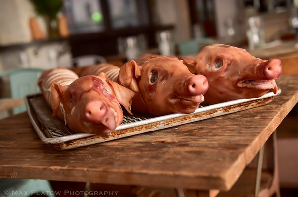TasteNetwork's tweet photo. "Another long, piggy-filled weekend w/ Cochon555. Damn good chef's dinner @rootnbonenyc" [@MFlatowPhoto #Instagram] http://t.co/xfqKb2PI7r