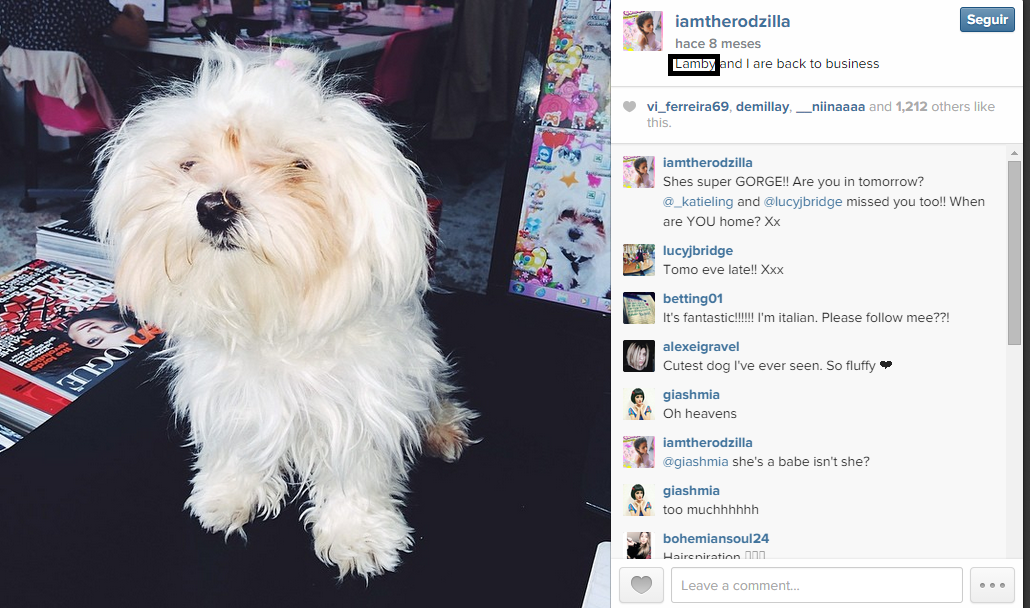 PerfectGem's tweet image. Why everybody now try to lie to the people saying "Oh hi guys, I'm Gemma Styles"? That's ridiculous.