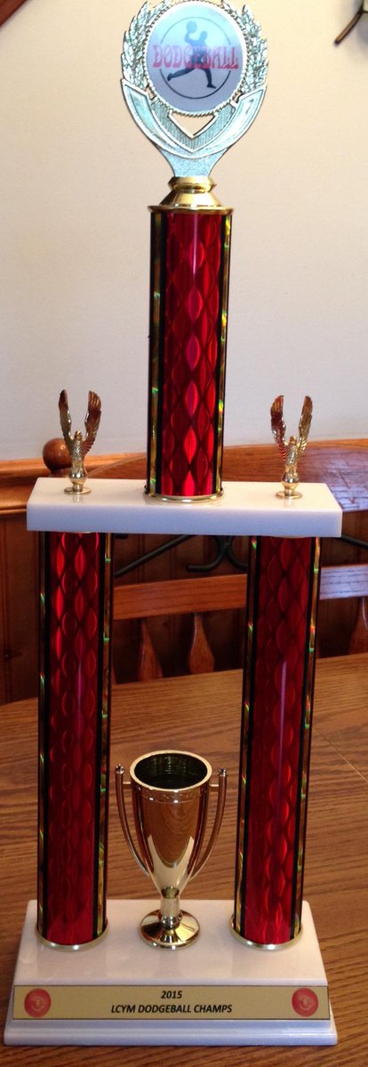 LCYMinfo's tweet photo. Dodgeball 2015 Trophy!  #LCYM  #dodgeball  #fullyinflatedballs http://t.co/3kKUEiaHDb