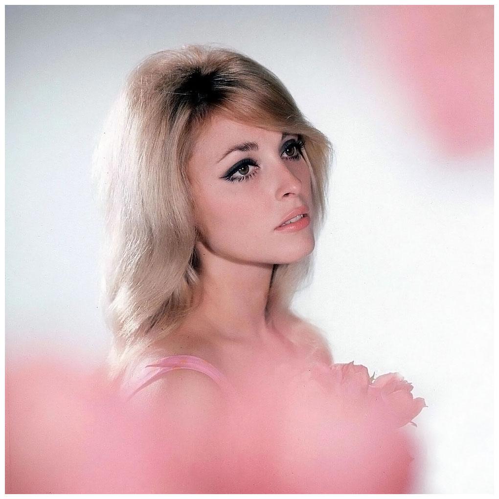 Happy birthday to the beautiful angel, Sharon Tate. you\re missed every single day. 
