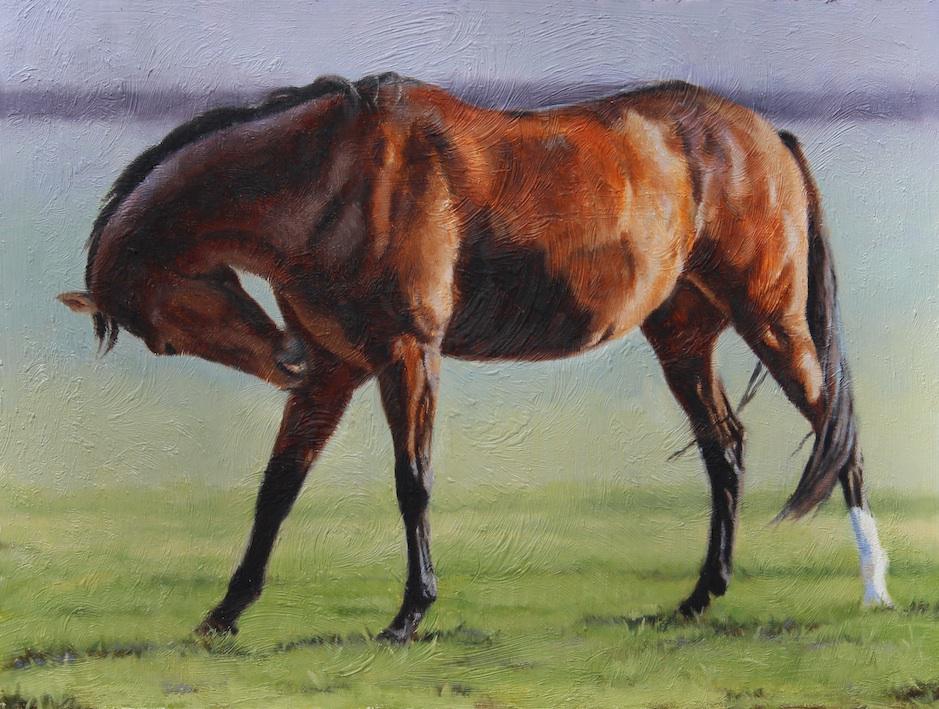KateJenveyArt's tweet photo. My latest #horse #painting, oil on board 'Summer Salute' http://t.co/JJxB6EsbmY