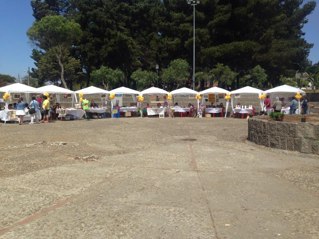 TemVina's tweet photo. No se pierdan el último día de #Econcon n #bosquesremontemar !! Increíble feria ecológica! #TEM2015 @UAI_VINA #concon http://t.co/IBeBhyTCM9