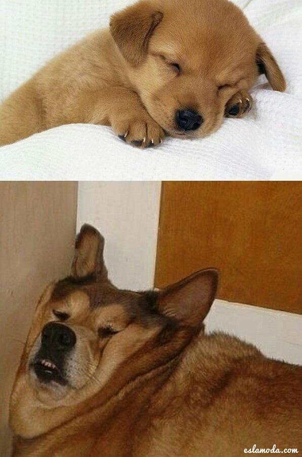 BbuuBuu's tweet photo. ~Tururú

La vida es así ;)
Expectativa vs realidad http://t.co/oVUxUhDN6L