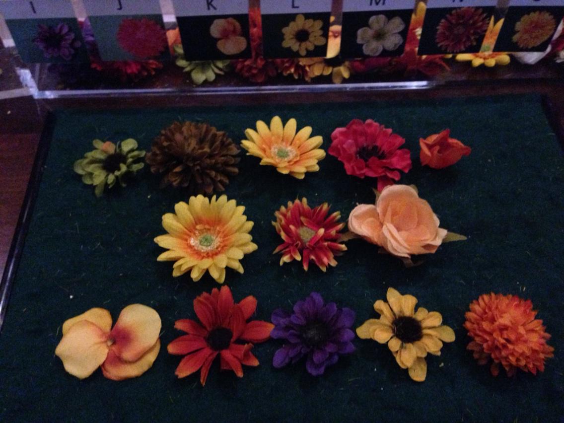 tmanzer's tweet image. Tracy and Keith #decodinghistory