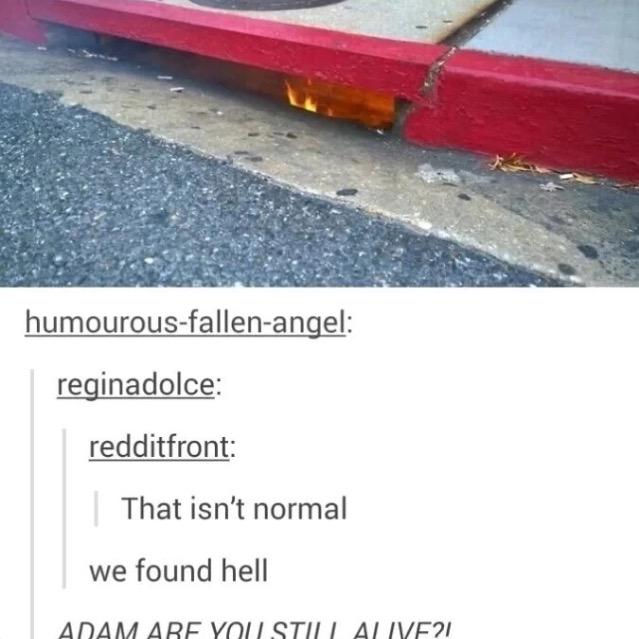 PrisonerofCages's tweet image. 