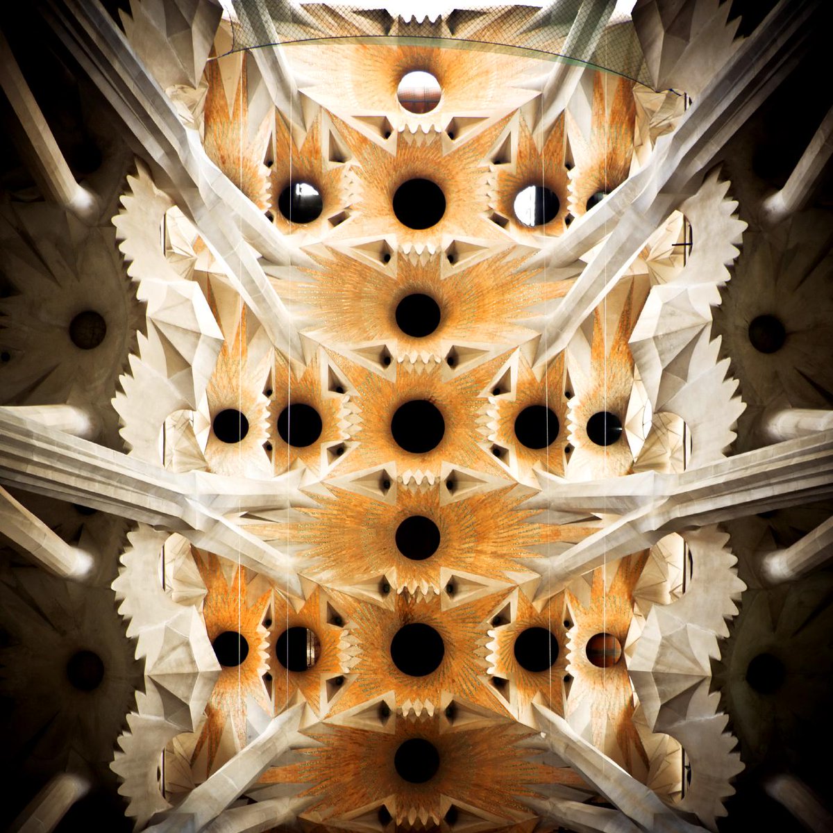 Spain On Twitter Ceiling Of Sagrada Familia Cathedral Out Of