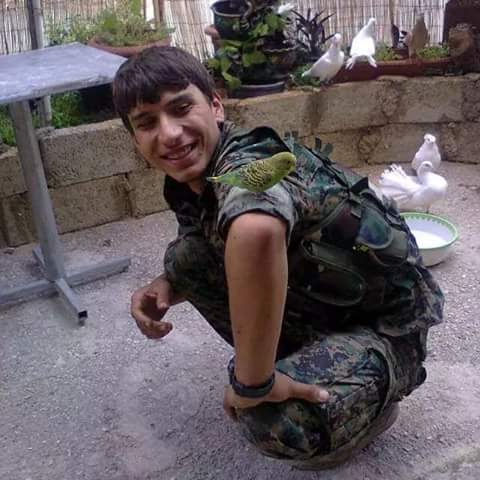 serhedkobani's tweet photo. Şehîd xamgin efrin http://t.co/mzebcRMWHz