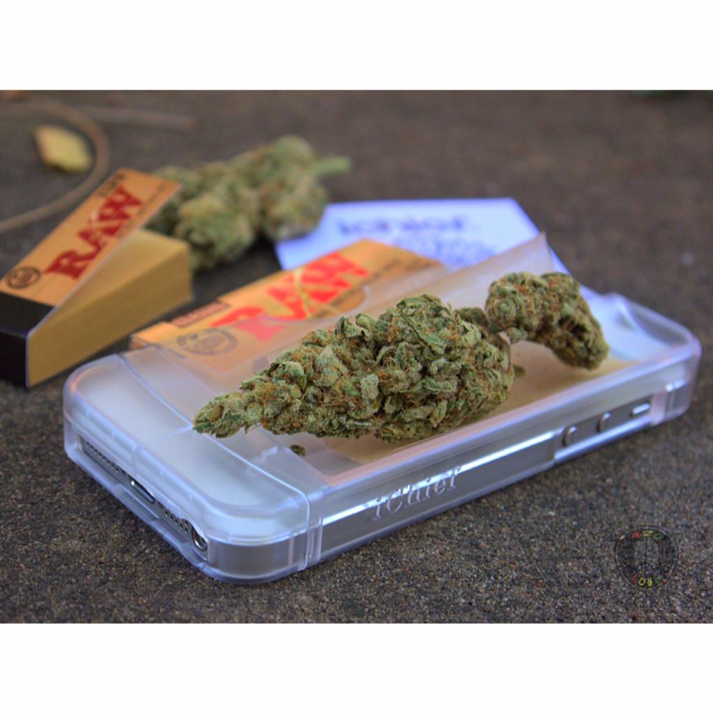 abudlife's tweet photo. For rolling on the go @iChiefSupply is the way to go 👍 Go to The link in my bio use ABUDLIFE for 15% off your order✌️ http://t.co/n1x8aHrTjG
