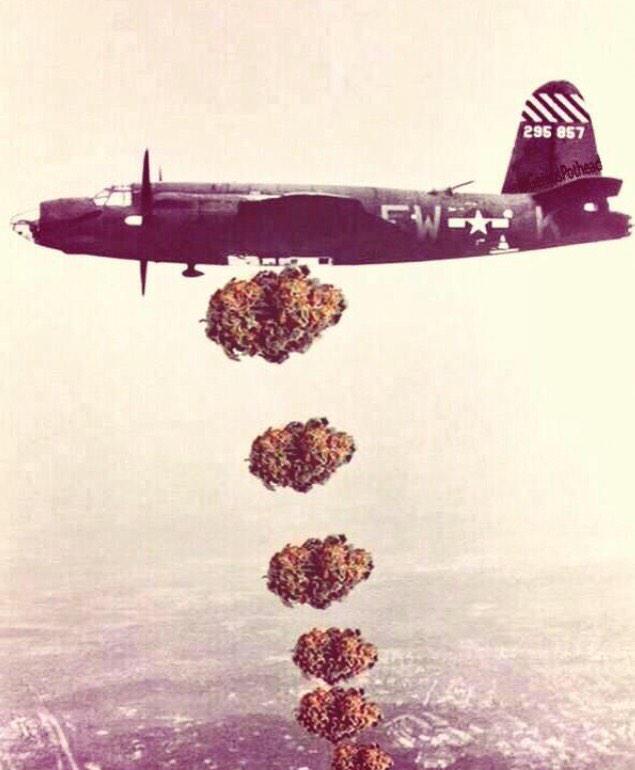 HighierMind's tweet image. "@FrostPipe1: Drop buds not bombs! http://t.co/WB9NycLvHH"